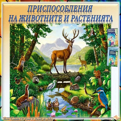 29. Приспособления на животните и растенията - ЧП, 4 клас, Булвест