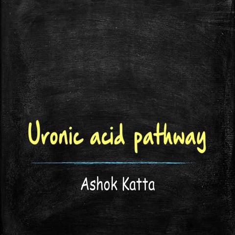 Uronic acid pathway