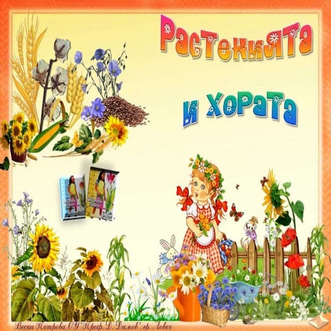 29. Растенията и хората. Селскостопански, диворастящи растения, билки -ОС, Ан...