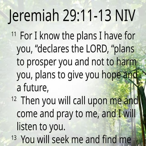 Jeremiah 29 new international version.pptx
