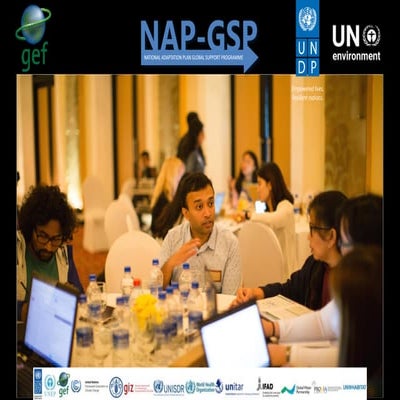 29.0 nap gsp gef-jun2017