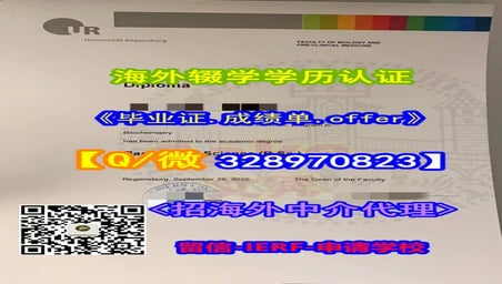 #关于雷根斯堡大学毕业证