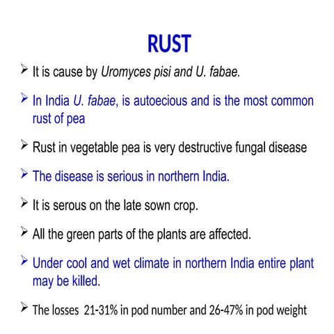 Comprehensive Overview of Rust Disease in Pea Crops: C…