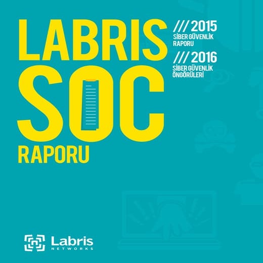 29022016 labris soc_raporu