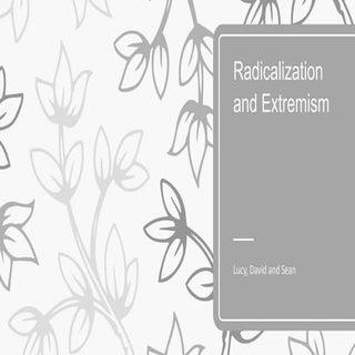 Radicalisation and Extremism Research