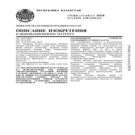 29278ip | PDF