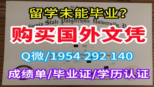 办加拿大毕业证封套毕业证本科硕士文凭哪家好
