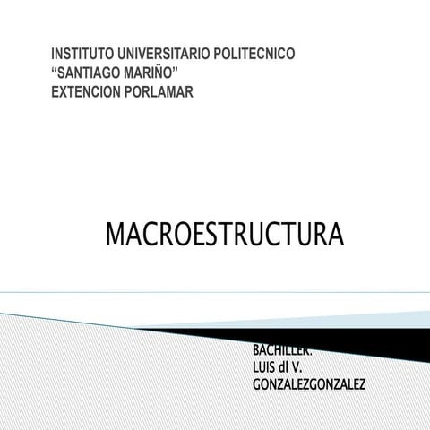 (293939236) macroestructura   copia