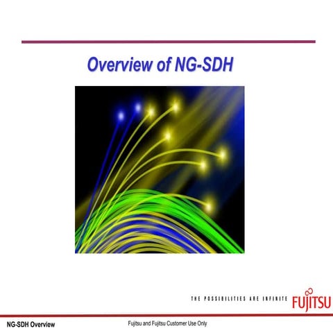 29422920 overview-of-ng-sdh