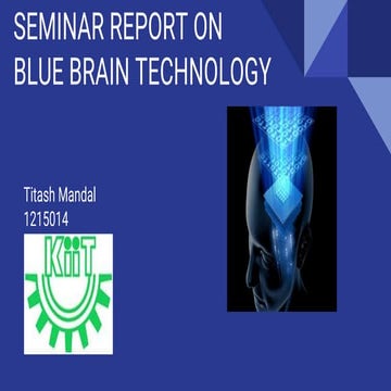 BLUE_BRAIN