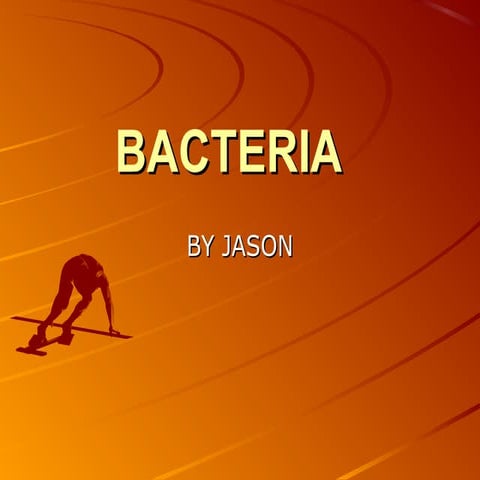My bacteria