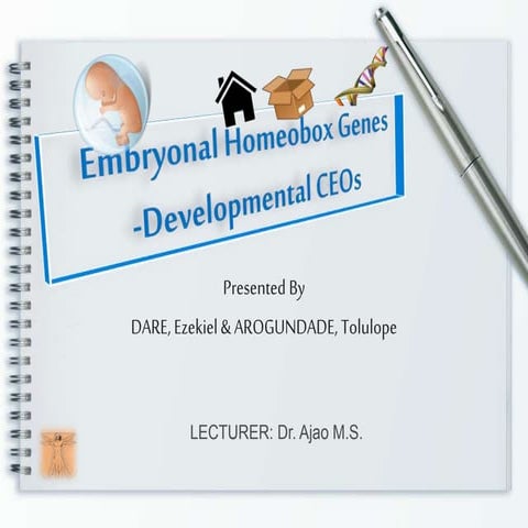 Embryonal Homeobox Genes