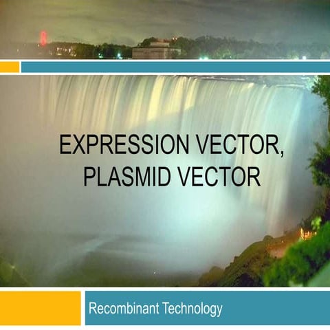 pET vectors | PPTX