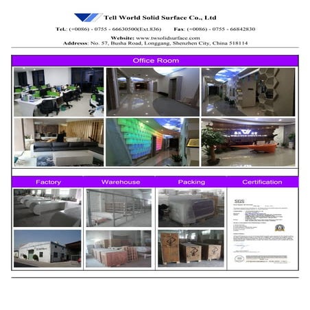 Tellworld company instruction ---Alva