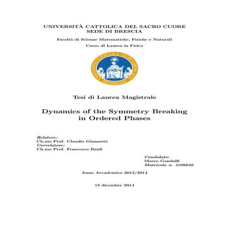 Master degree thesis