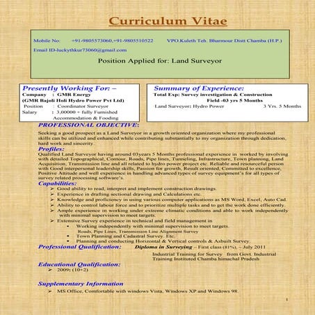 Surveyor Resume Examples & Writing Guide for 2025 | PDF