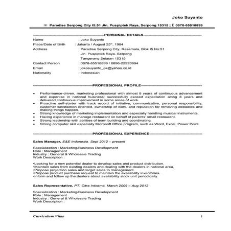 My Update - CV No foto