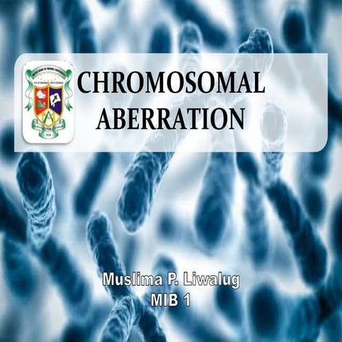 29kCLjL1LmkbjQYY849.pptx