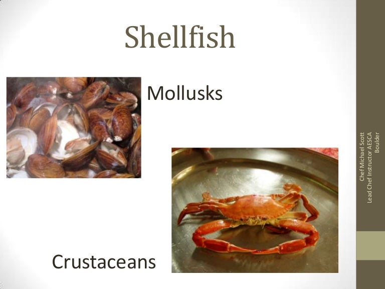 29 shellfish