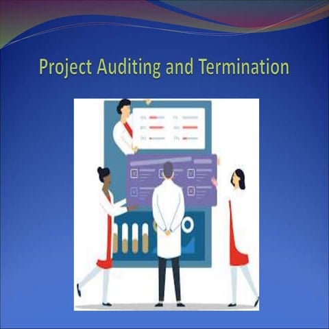2 a. project auditing