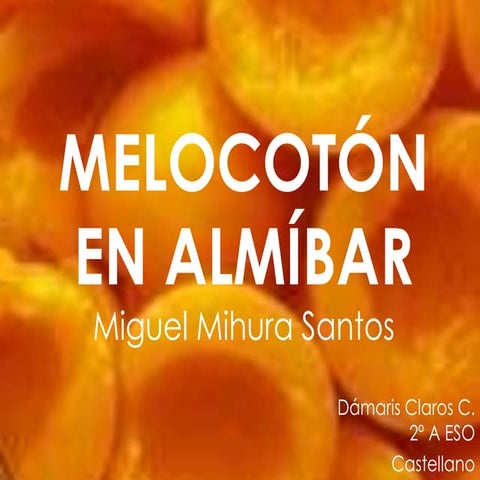 2A7.Melocotón en almíbar. Dámaris C