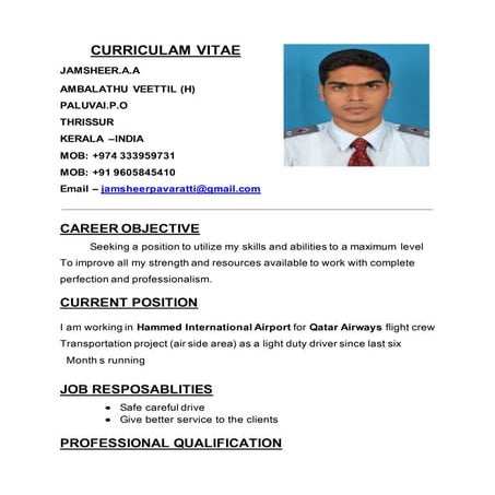 Driver cv anower | DOCX