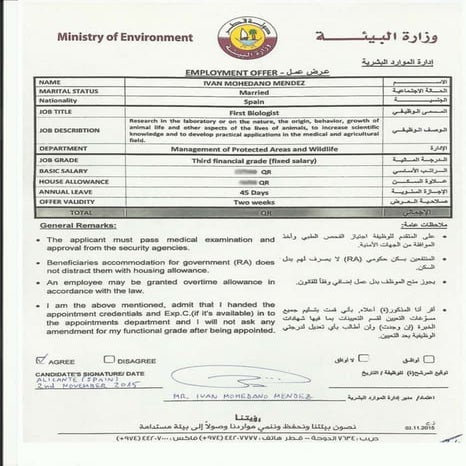 Qatar MoE - Job Offer | PDF