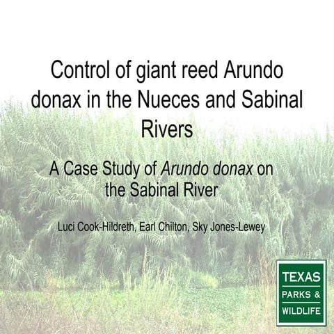 Arundo presentation SSRC May 2013