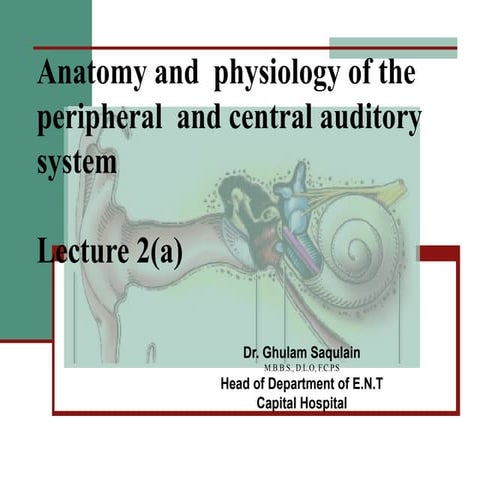 2(a)    anatomy and  physiology of the peripheral  and central auditory system