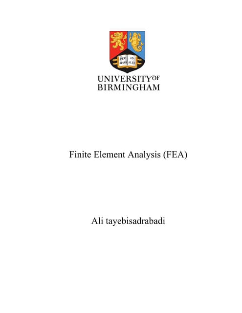 FEA Report