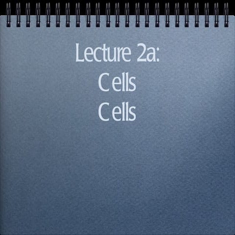 2a; cells