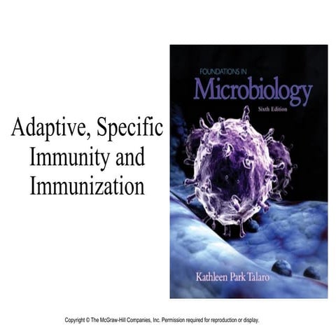 Immunity. Basic princeples of humoral and cellular immune response. | PPTX