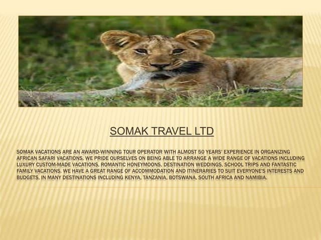 Somak Vacations are an award-winning tour operator with