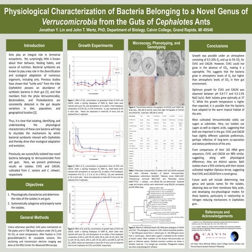 Jonathan Lin Summer 2014