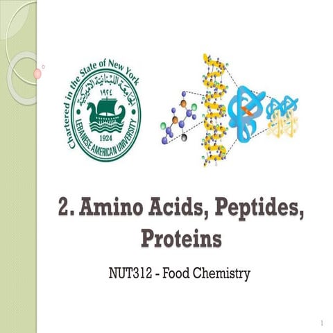 2  Amino Acids Peptides and Proteins.pdf