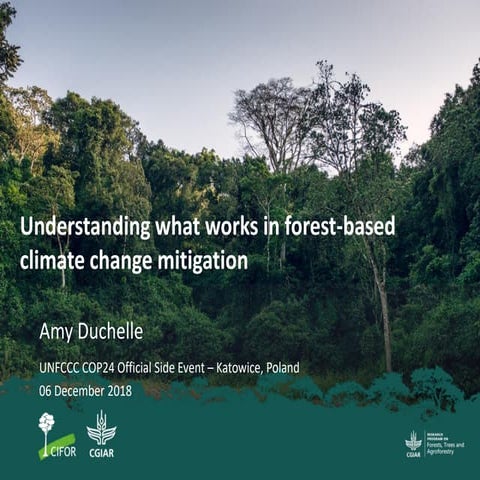 Understanding what works in forest-based climate change mitigation