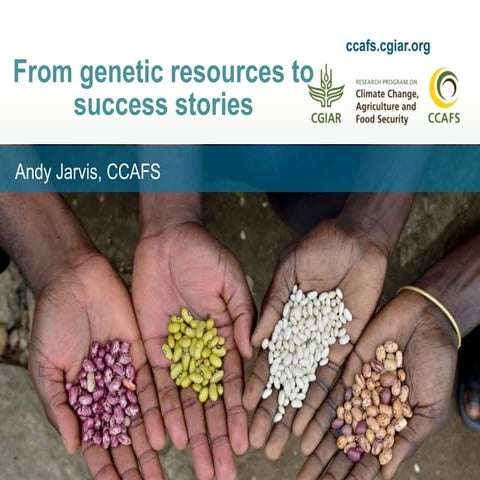 Success stories: from genetic resource to climate adaptation