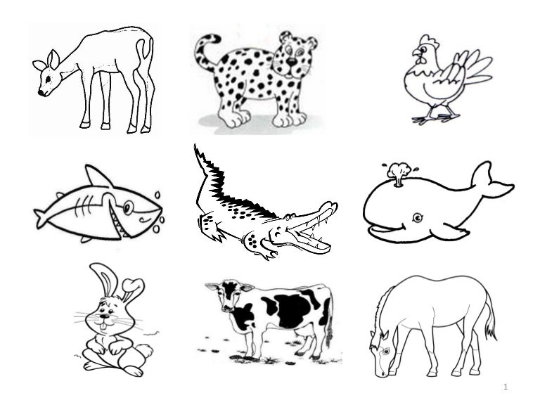 (2) animais p imprimir