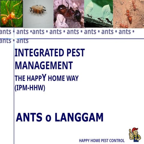 2 Ants IPM Edited Aug 2023 presentation training | PPTX