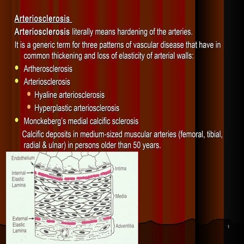 2 atherosclerosis pathology