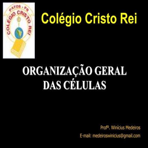 organização geral das celulas