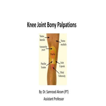 2B.knee Palpation.pdf bbbbbbbbbbbbbbbbbbb | PDF