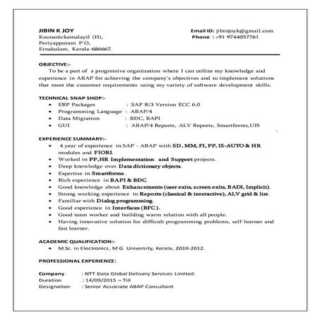 Jibin SAP ABAP Consultant