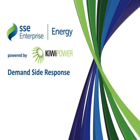 SSE Enterprise_KiWi_DSR_Sales_ppt