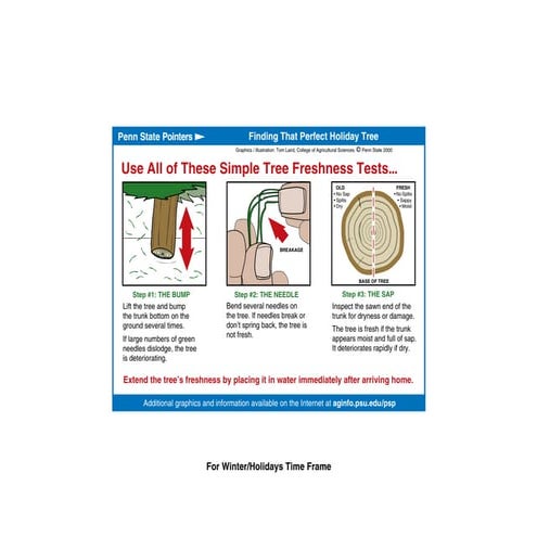Tree Caring Dos and Don’ts | PDF