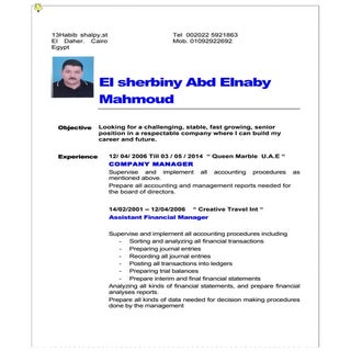 sherbiny cv last 112014