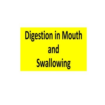  digestion in mouth and swallowing  