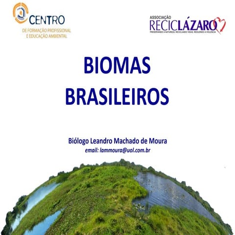 Biomas Brasileiros 