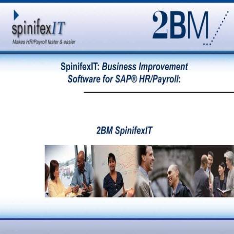 2 Bm Spinifex It Presentation 2012 Linkedin