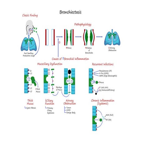 2• Bronchiectasis [Illustrations Key].pdf